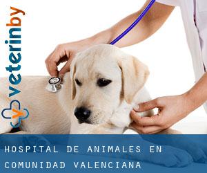 Hospital de animales en Comunidad Valenciana