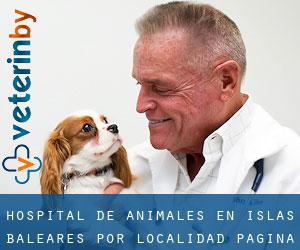 Hospital de animales en Islas Baleares por localidad - página 1 (Provincia)