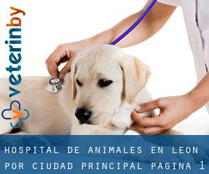 Hospital de animales en León por ciudad principal - página 1