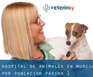 Hospital de animales en Murcia por población - página 1 (Provincia)