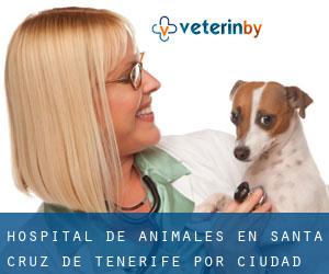 Hospital de animales en Santa Cruz de Tenerife por ciudad - página 1