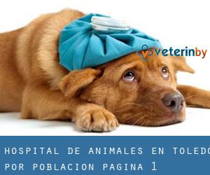 Hospital de animales en Toledo por población - página 1
