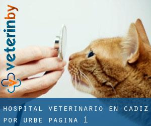 Hospital veterinario en Cádiz por urbe - página 1