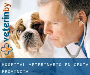 Hospital veterinario en Ceuta (Provincia)
