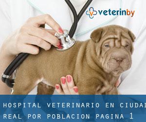 Hospital veterinario en Ciudad Real por población - página 1