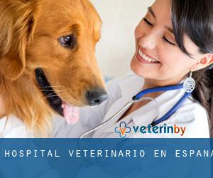 Hospital veterinario en España