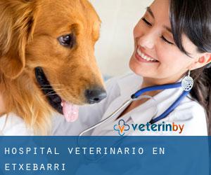 Hospital veterinario en Etxebarri