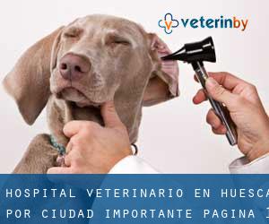 Hospital veterinario en Huesca por ciudad importante - página 1