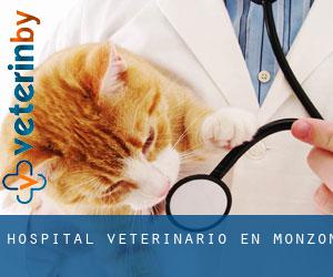 Hospital veterinario en Monzón