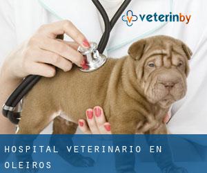 Hospital veterinario en Oleiros