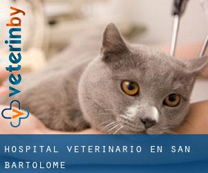 Hospital veterinario en San Bartolomé