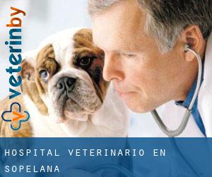 Hospital veterinario en Sopelana