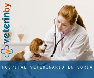 Hospital veterinario en Soria