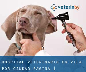 Hospital veterinario en Ávila por ciudad - página 1