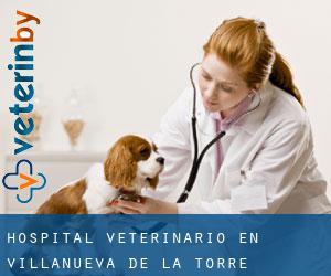 Hospital veterinario en Villanueva de la Torre