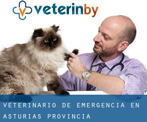 Veterinario de emergencia en Asturias (Provincia)