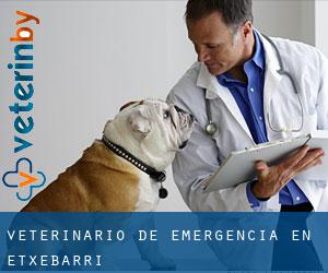 Veterinario de emergencia en Etxebarri