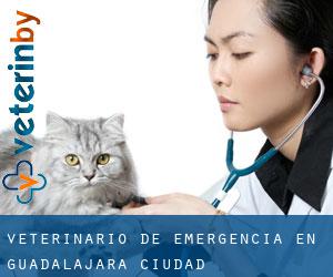 Veterinario de emergencia en Guadalajara (Ciudad)