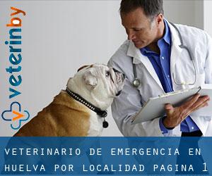 Veterinario de emergencia en Huelva por localidad - página 1