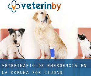 Veterinario de emergencia en La Coruña por ciudad importante - página 1
