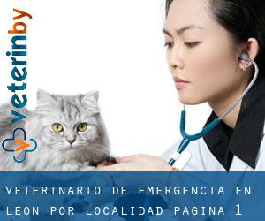 Veterinario de emergencia en León por localidad - página 1