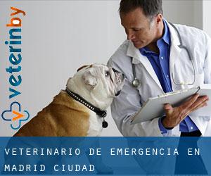 Veterinario de emergencia en Madrid (Ciudad)