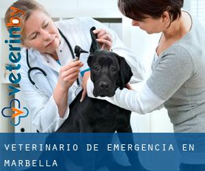 Veterinario de emergencia en Marbella