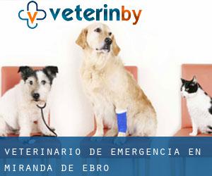 Veterinario de emergencia en Miranda de Ebro