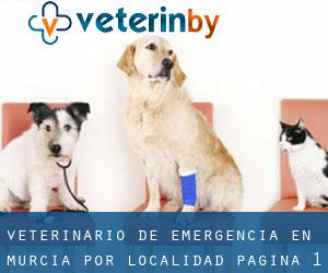 Veterinario de emergencia en Murcia por localidad - página 1 (Provincia)