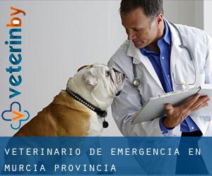 Veterinario de emergencia en Murcia (Provincia)