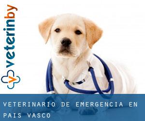 Veterinario de emergencia en País Vasco