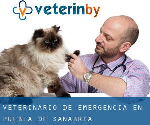 Veterinario de emergencia en Puebla de Sanabria