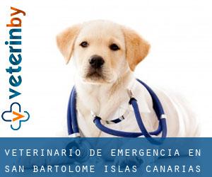 Veterinario de emergencia en San Bartolomé (Islas Canarias)