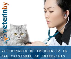 Veterinario de emergencia en San Cristóbal de Entreviñas