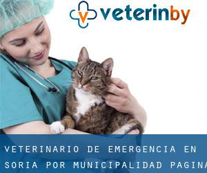 Veterinario de emergencia en Soria por municipalidad - página 1
