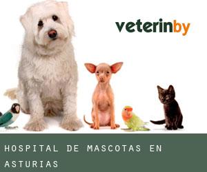 Hospital de mascotas en Asturias