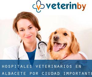hospitales veterinarios en Albacete por ciudad importante - página 2