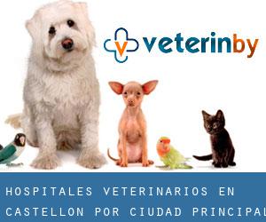hospitales veterinarios en Castellón por ciudad principal - página 2