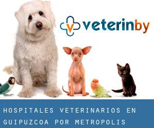 hospitales veterinarios en Guipúzcoa por metropolis - página 1