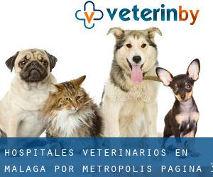 hospitales veterinarios en Málaga por metropolis - página 3
