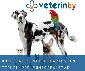 hospitales veterinarios en Teruel por municipalidad - página 2