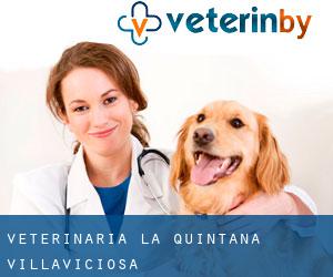 Veterinaria la Quintana (Villaviciosa)