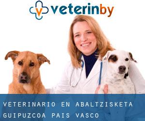 veterinario en Abaltzisketa (Guipúzcoa, País Vasco)