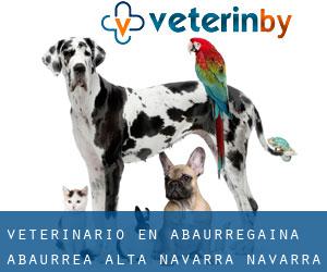 veterinario en Abaurregaina / Abaurrea Alta (Navarra, Navarra)