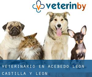 veterinario en Acebedo (León, Castilla y León)