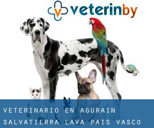 veterinario en Agurain / Salvatierra (Álava, País Vasco)