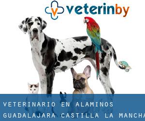 veterinario en Alaminos (Guadalajara, Castilla-La Mancha)