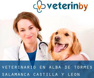 veterinario en Alba de Tormes (Salamanca, Castilla y León)