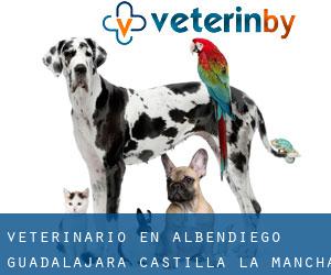 veterinario en Albendiego (Guadalajara, Castilla-La Mancha)