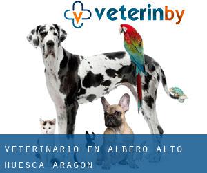 veterinario en Albero Alto (Huesca, Aragón)